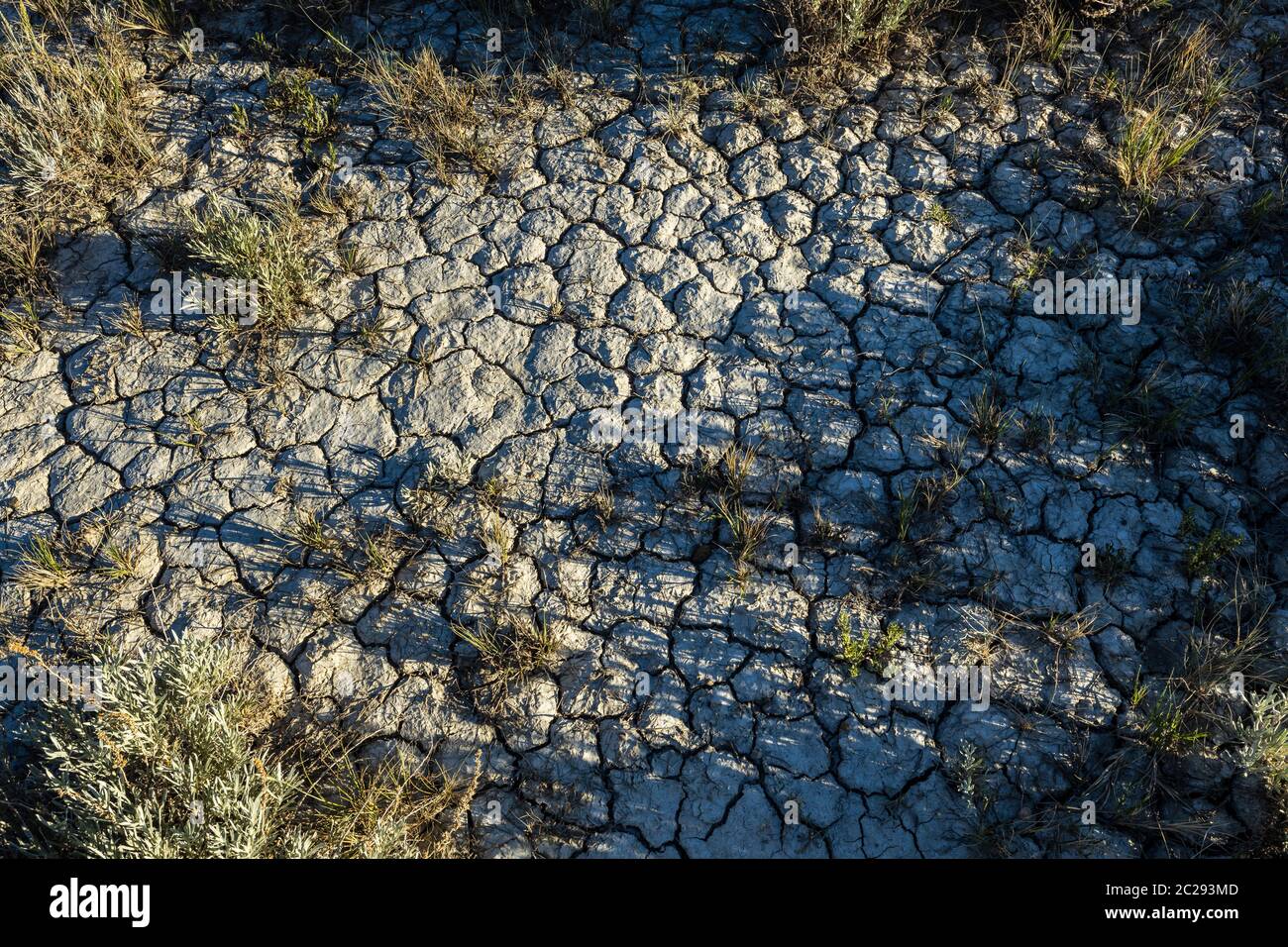 Structure and Cracks of a dry Surface Stock Photo
