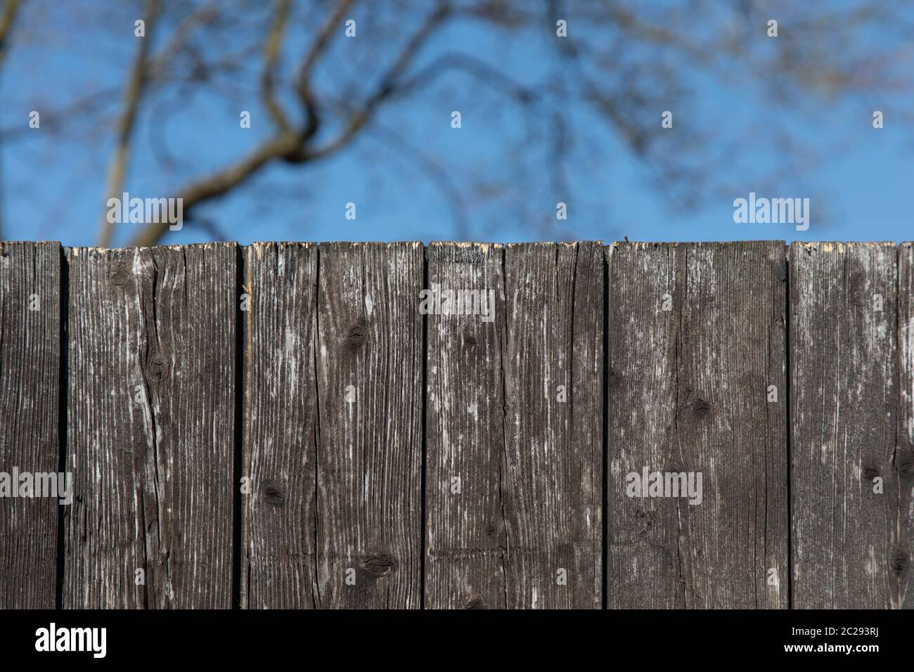 Branch fence hi-res stock photography and images - Alamy