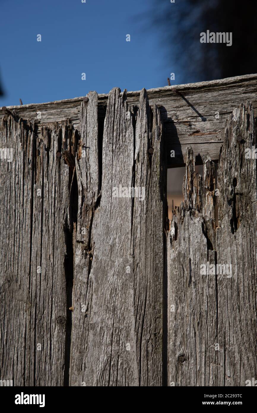 Branch and fence hi-res stock photography and images - Alamy