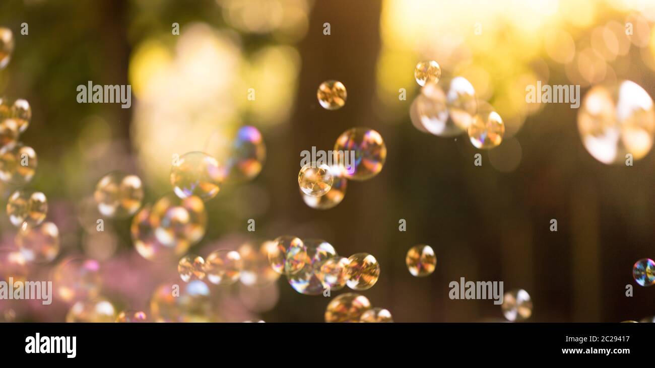Soap bubbles floating in the air, summer time Stock Photo - Alamy