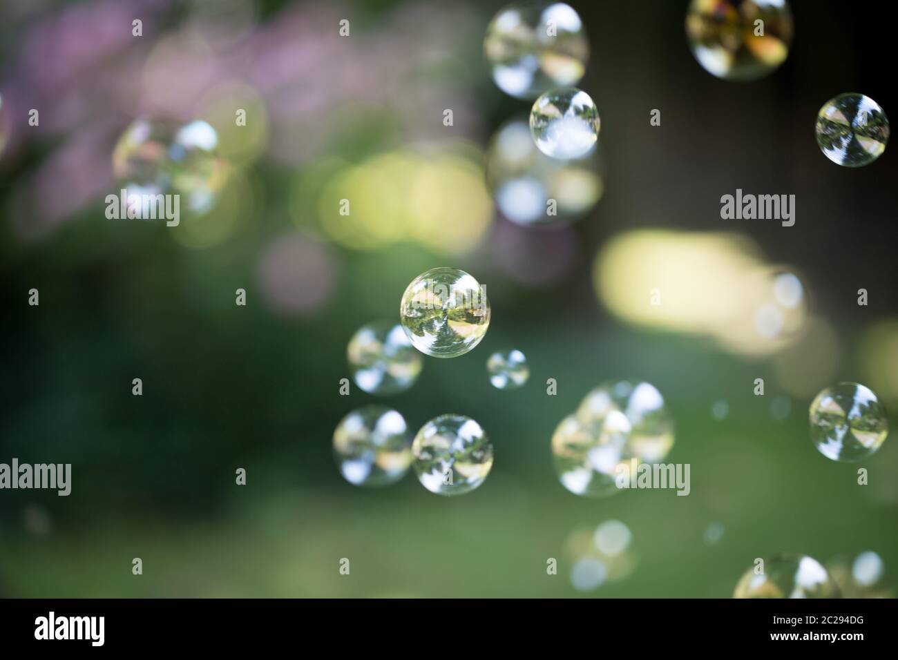 Soap bubbles floating in the air, summer time Stock Photo - Alamy