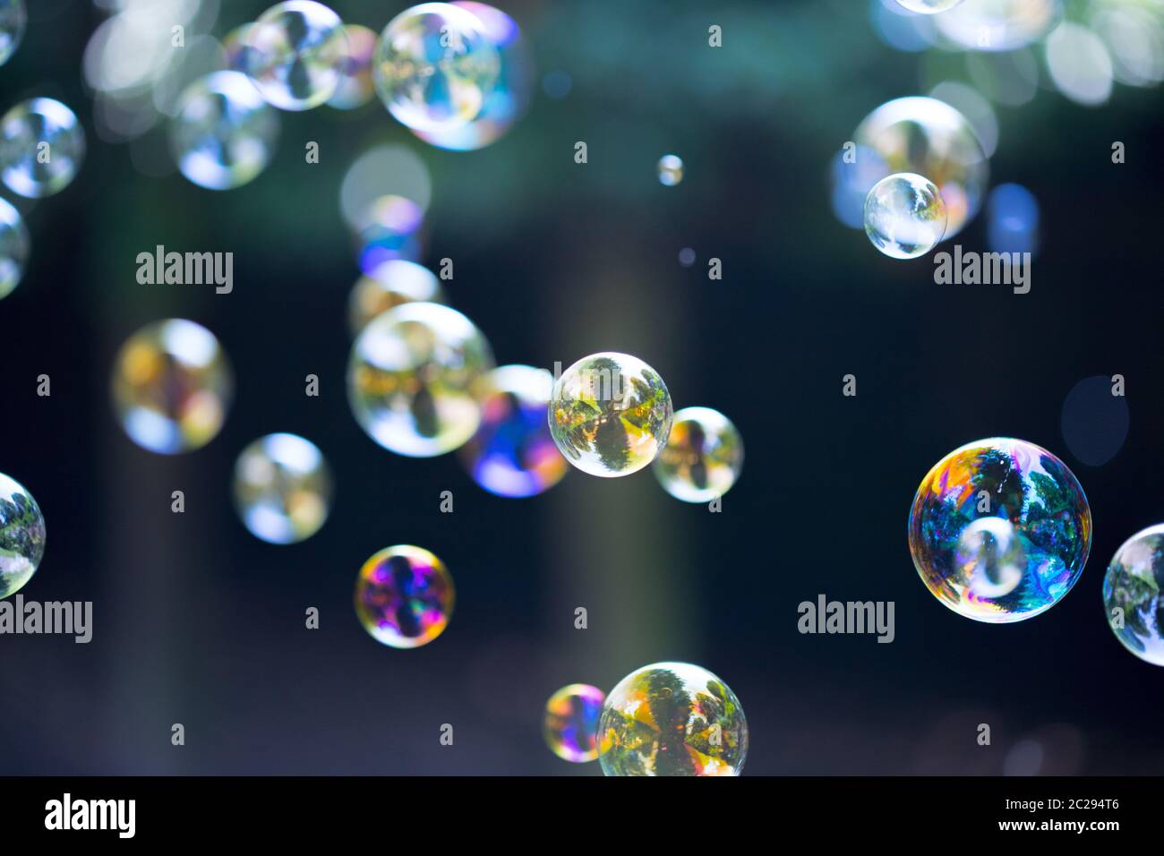 Soap bubbles floating in the air, summer time Stock Photo - Alamy