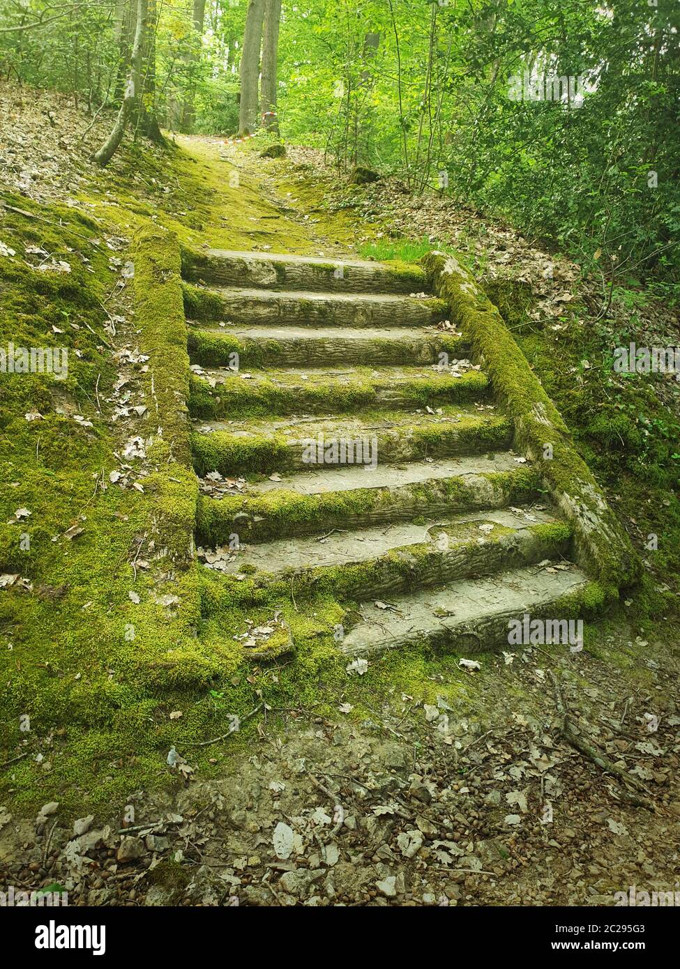 Ancient Stone Stair Steps In The Woods Covered By Green Moss 