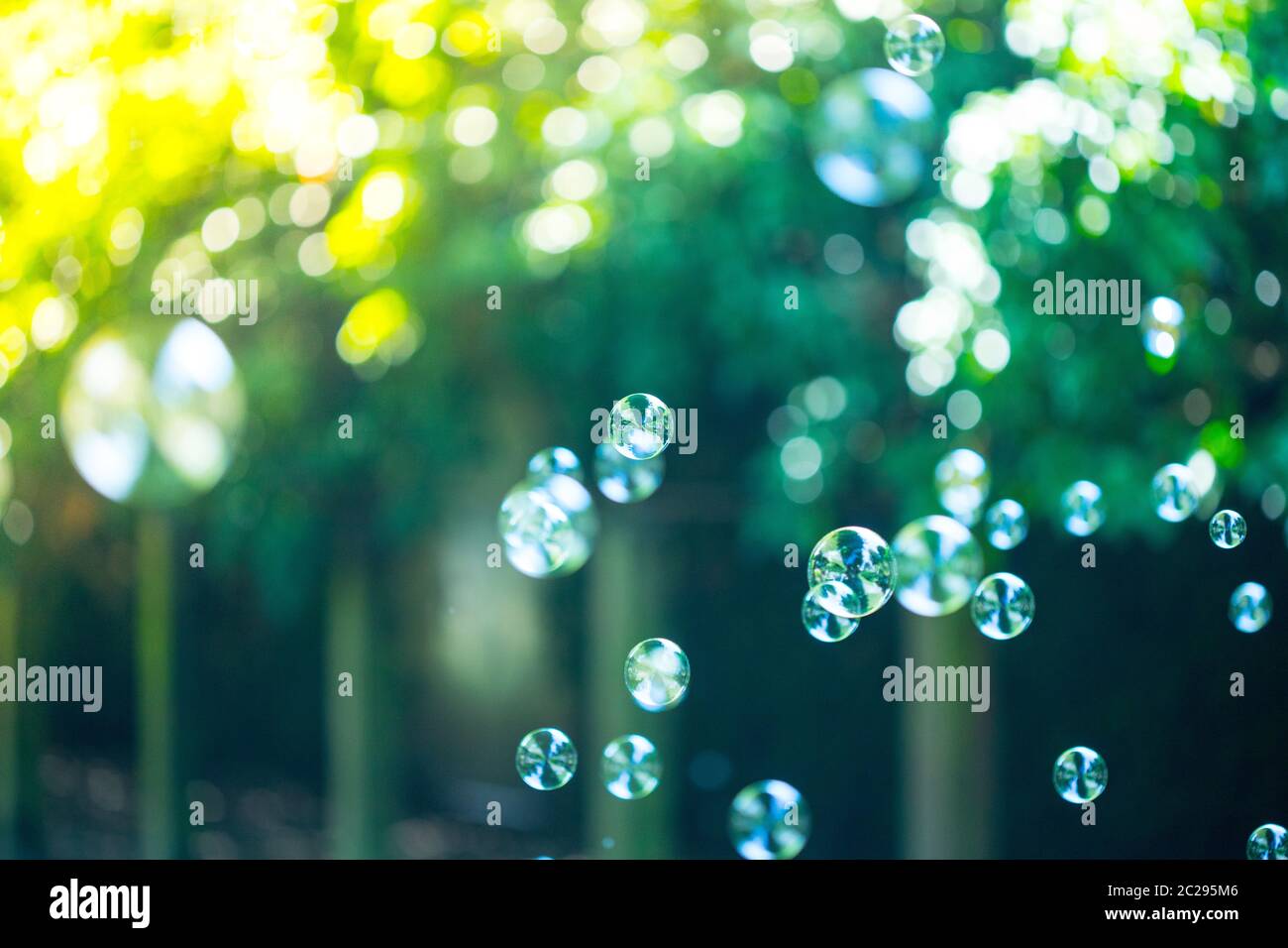 Soap bubbles floating in the air, summer time Stock Photo - Alamy