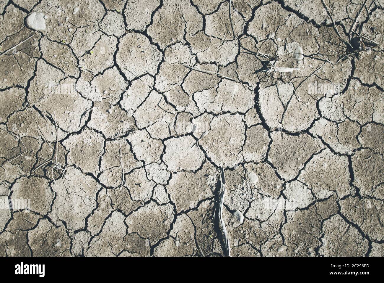 Dry cracked earth, global warming Stock Photo