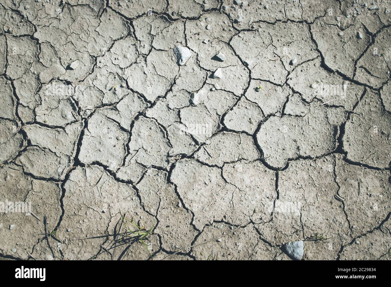 Dry cracked earth, global warming Stock Photo