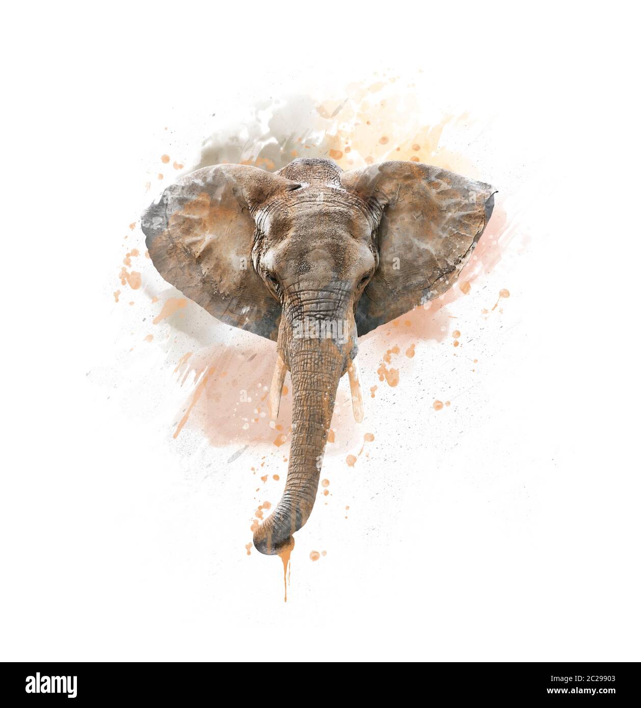 Elephant Head watercolor illustration on White Background Stock Photo