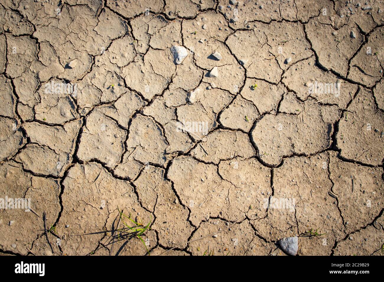 Dry cracked earth, global warming Stock Photo