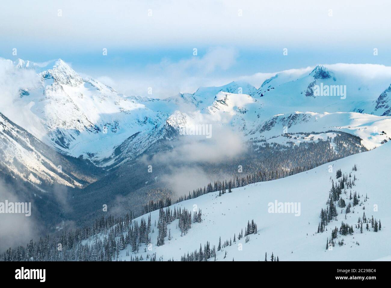 Winter fir trees in mountains covered with fresh snow Stock Photo - Alamy