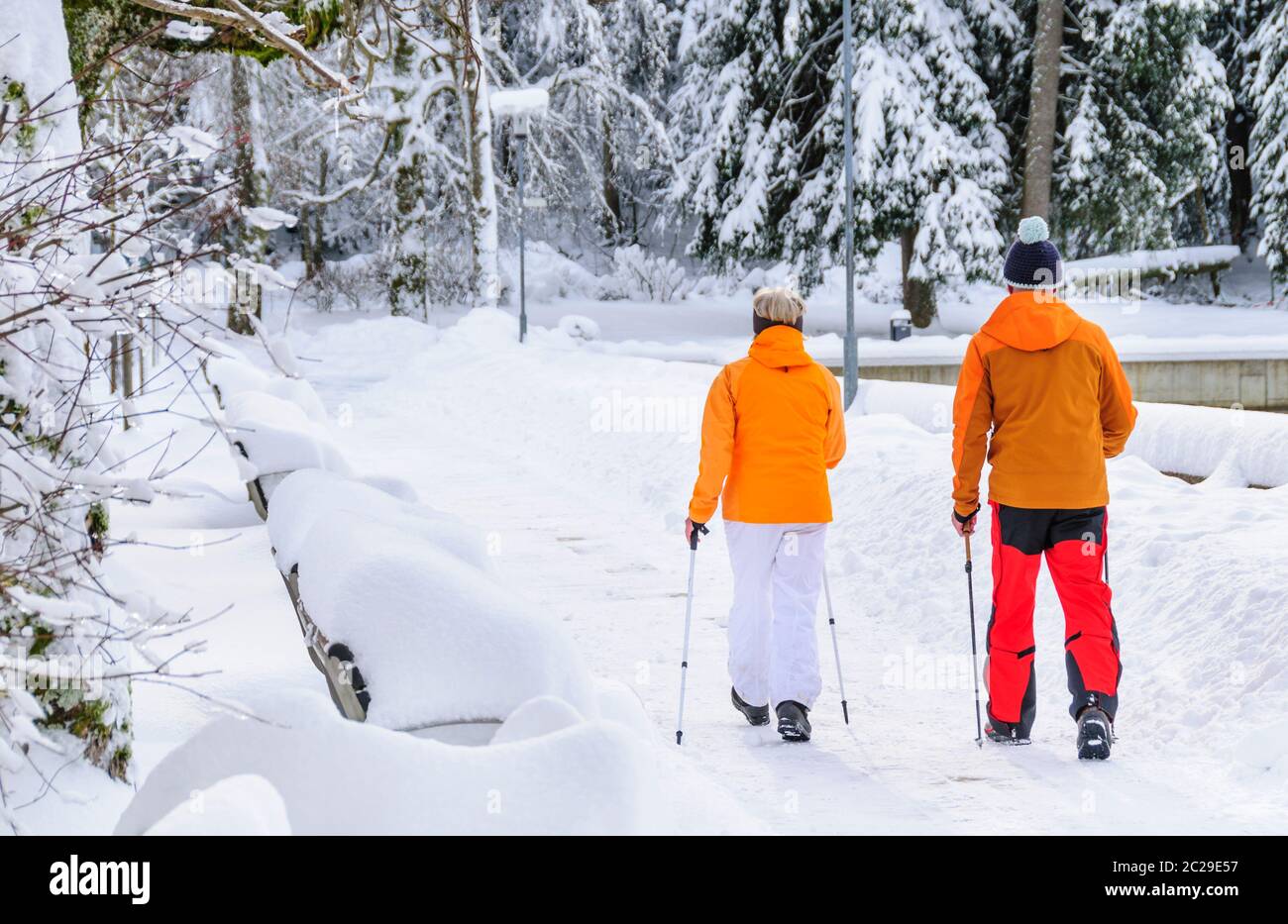 Woman nordic walking snow hi-res stock photography and images - Alamy