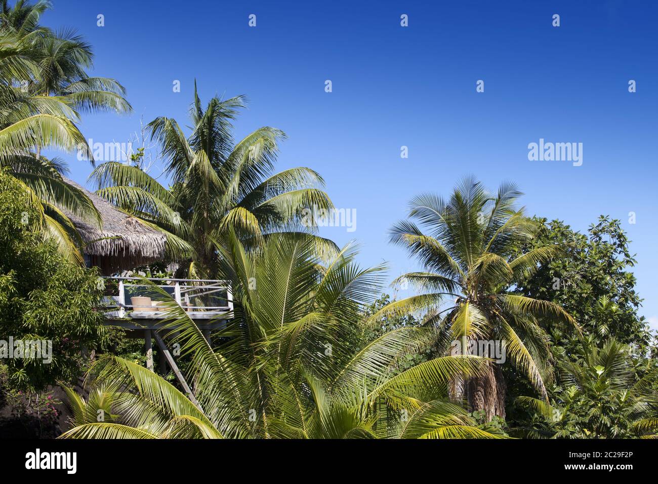 Tropical hut surrounded by palm trees Stock Photo