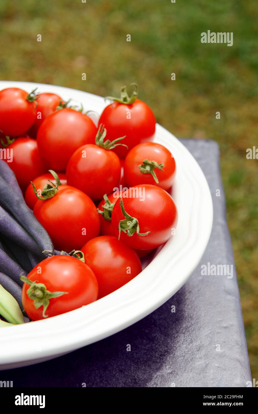 Close-up of ripe red tomatoes in a white serving dish on a stone table in a garden Stock Photo