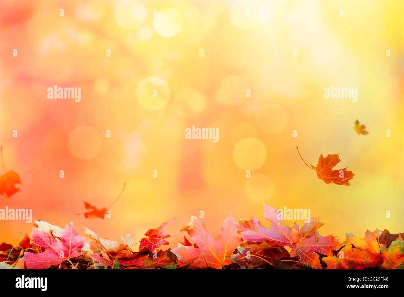 Autumn background with falling leaves Stock Photo