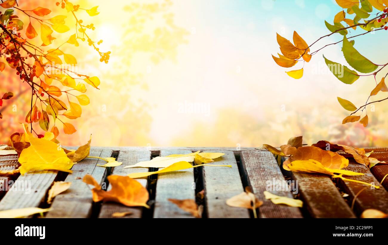 Tree branches with colorful autumn leaves over wooden table Stock Photo