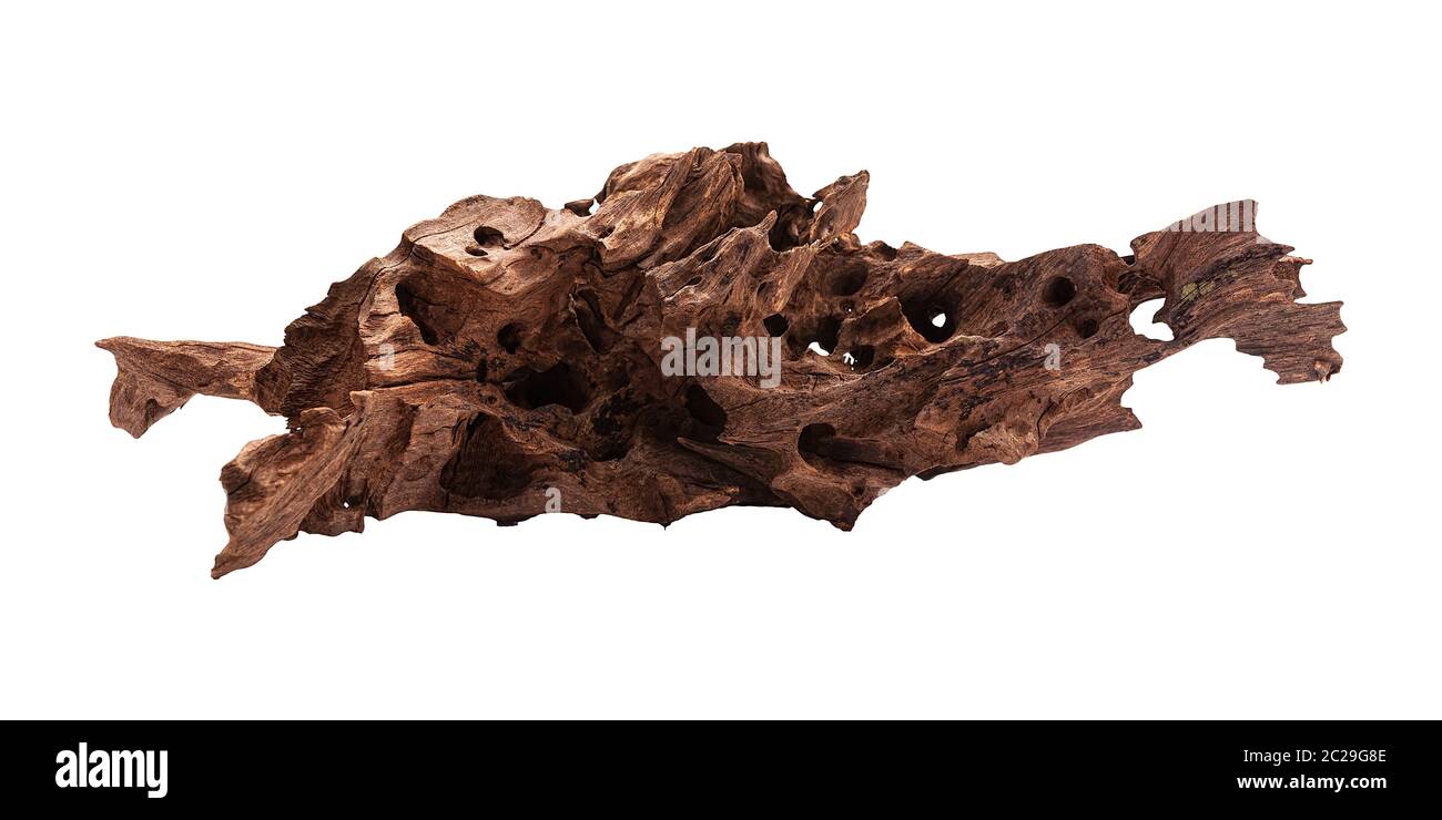 Irregular mangrove brown piece of wood, aquarium decoration isolated Stock Photo Alamy
