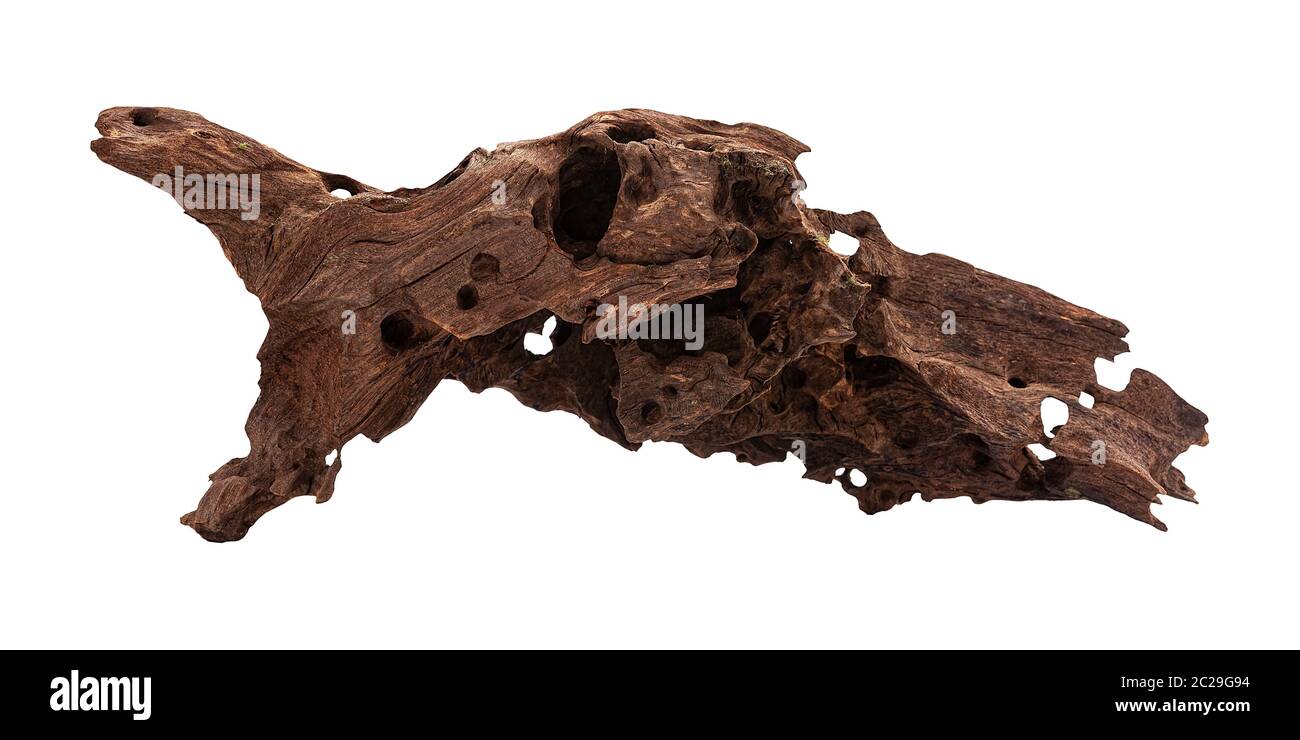 Irregular mangrove brown piece of wood, aquarium decoration isolated Stock Photo Alamy