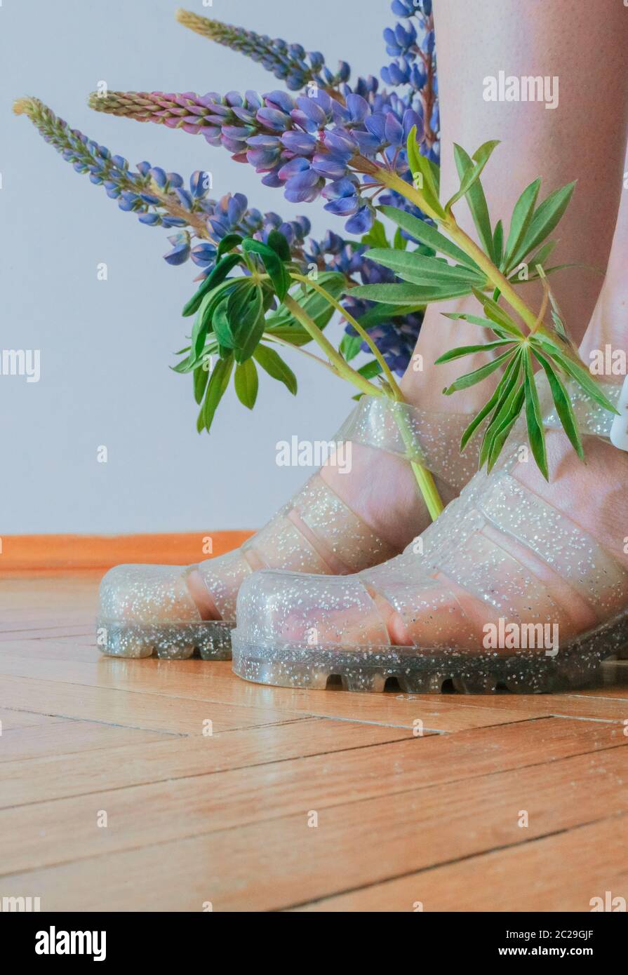 glitter juju jellies with violet lupins Stock Photo