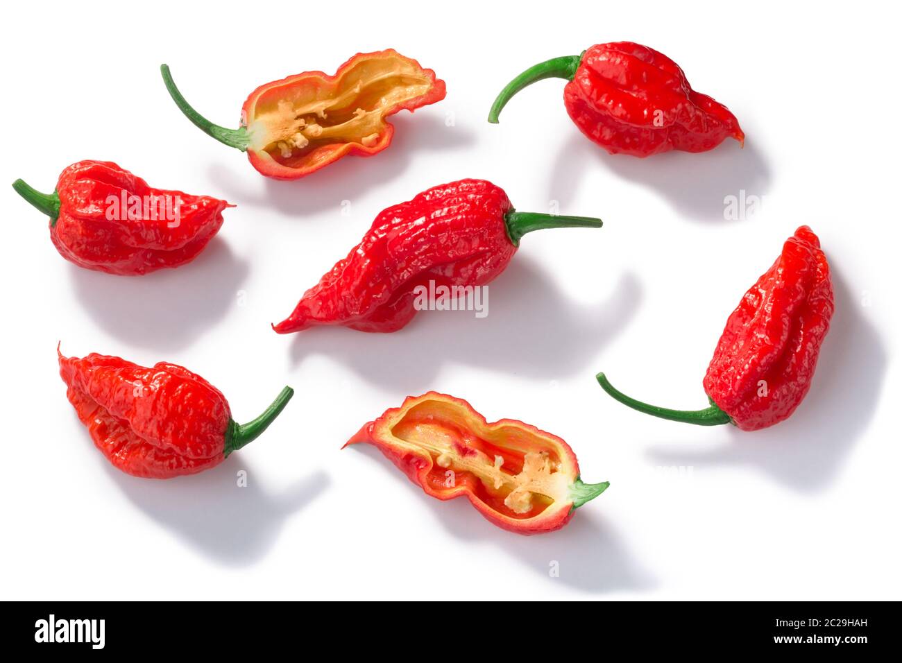 Ghost chile peppers Bhut Jolokia (Capsicum frutescens x Capsicum chinense), whole and halved pods,  isolated, top view Stock Photo