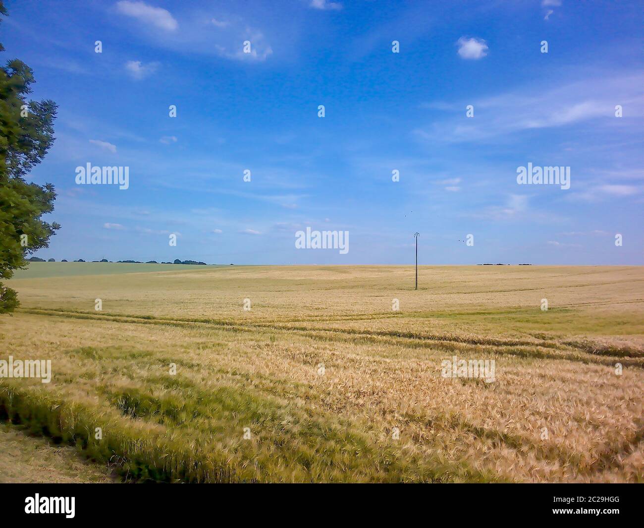 aerial view of a field Stock Photo - Alamy