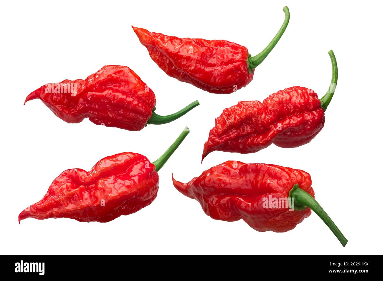 Ghost chile peppers Bhut Jolokia (Capsicum frutescens x Capsicum chinense), long pods,  isolated, a set of Stock Photo