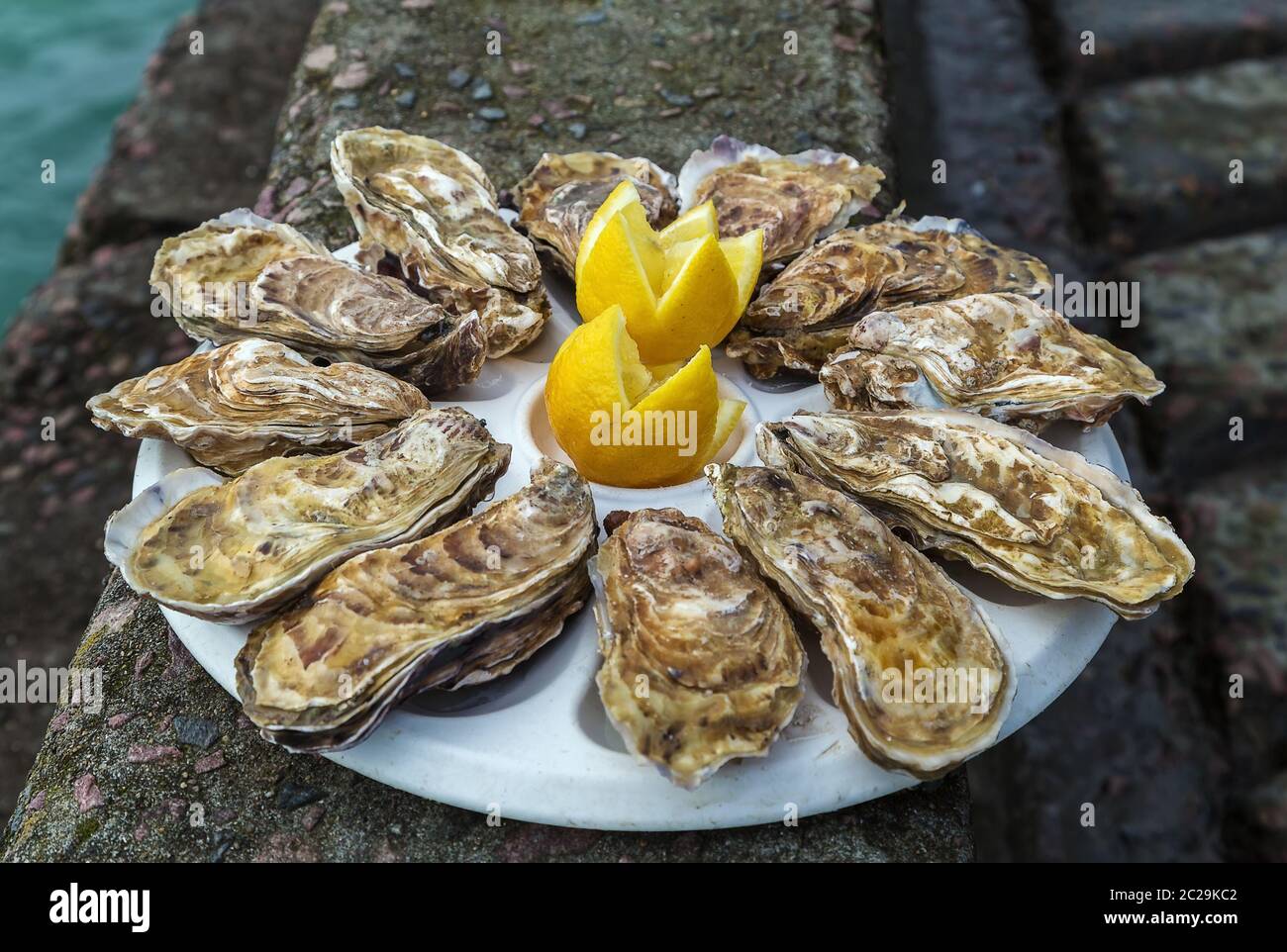 Plate with dozen oysters Stock Photo