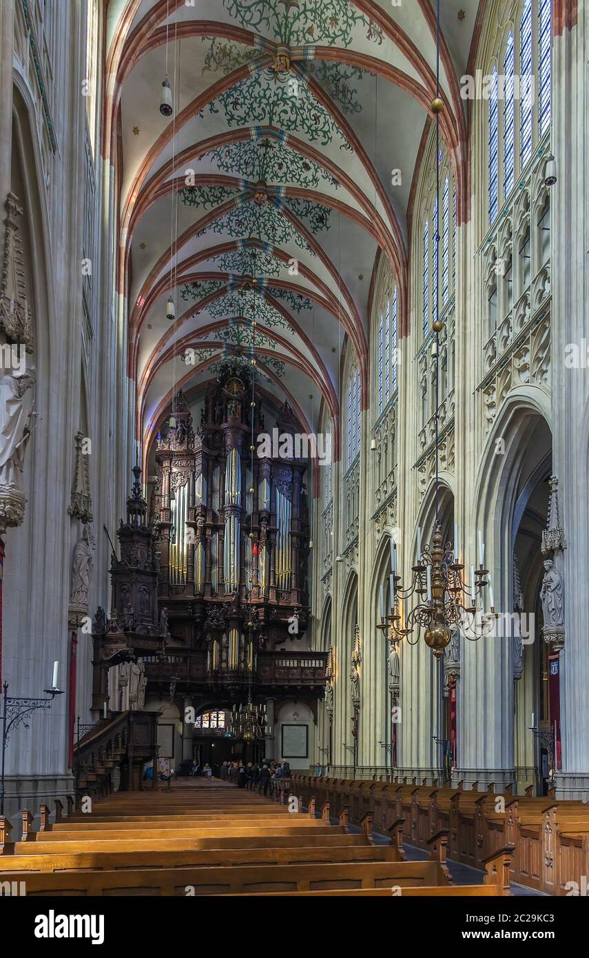 St. John's Cathedral, s-Hertogenbosch, Netherlands Stock Photo