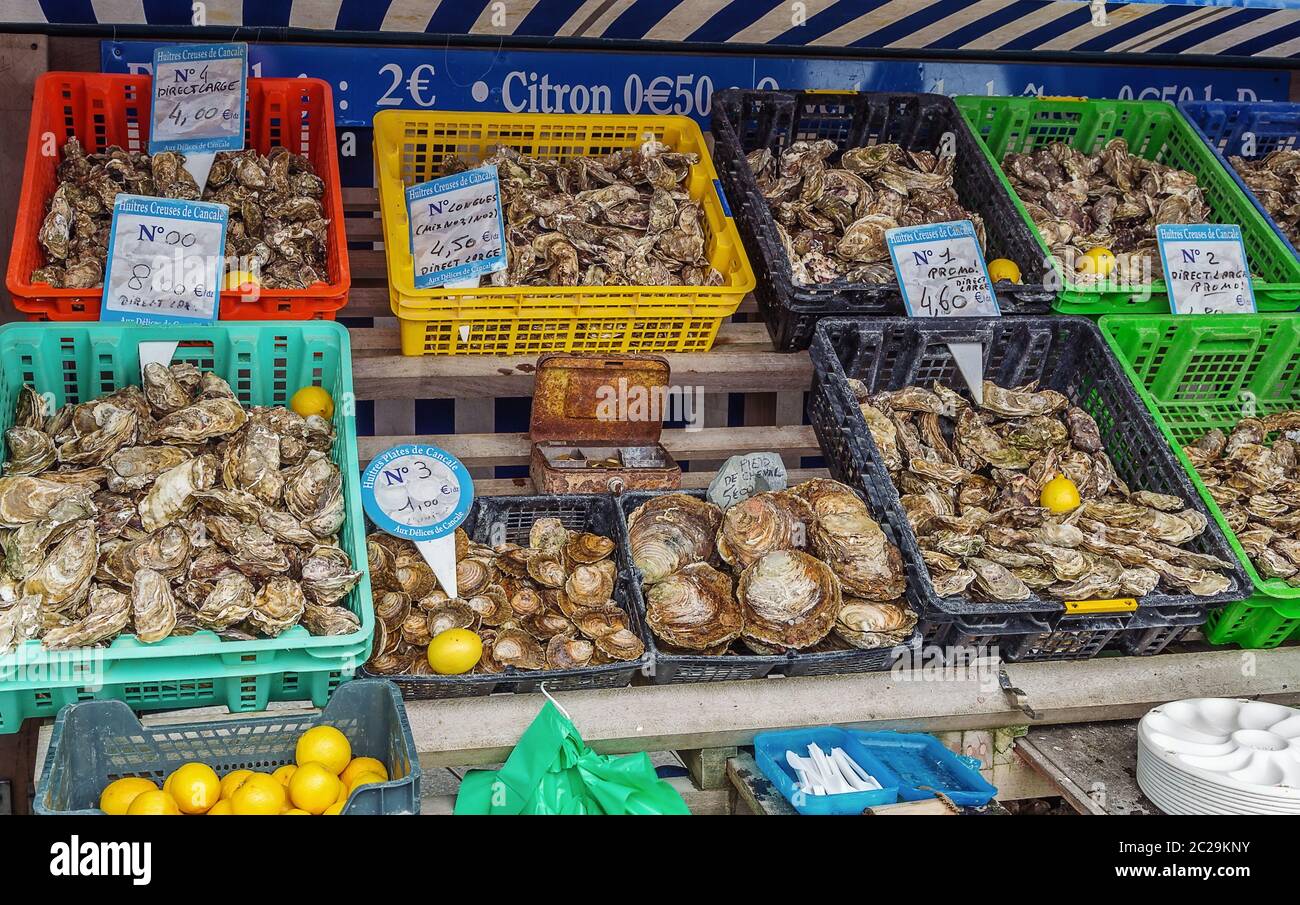 Oysters for sale Stock Photo Alamy