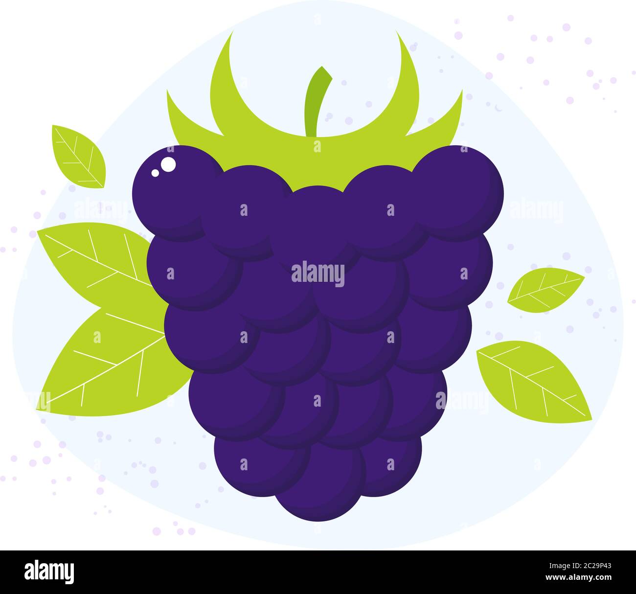 Vector blackberry icon. Flat cartoon berry illustration Stock Vector