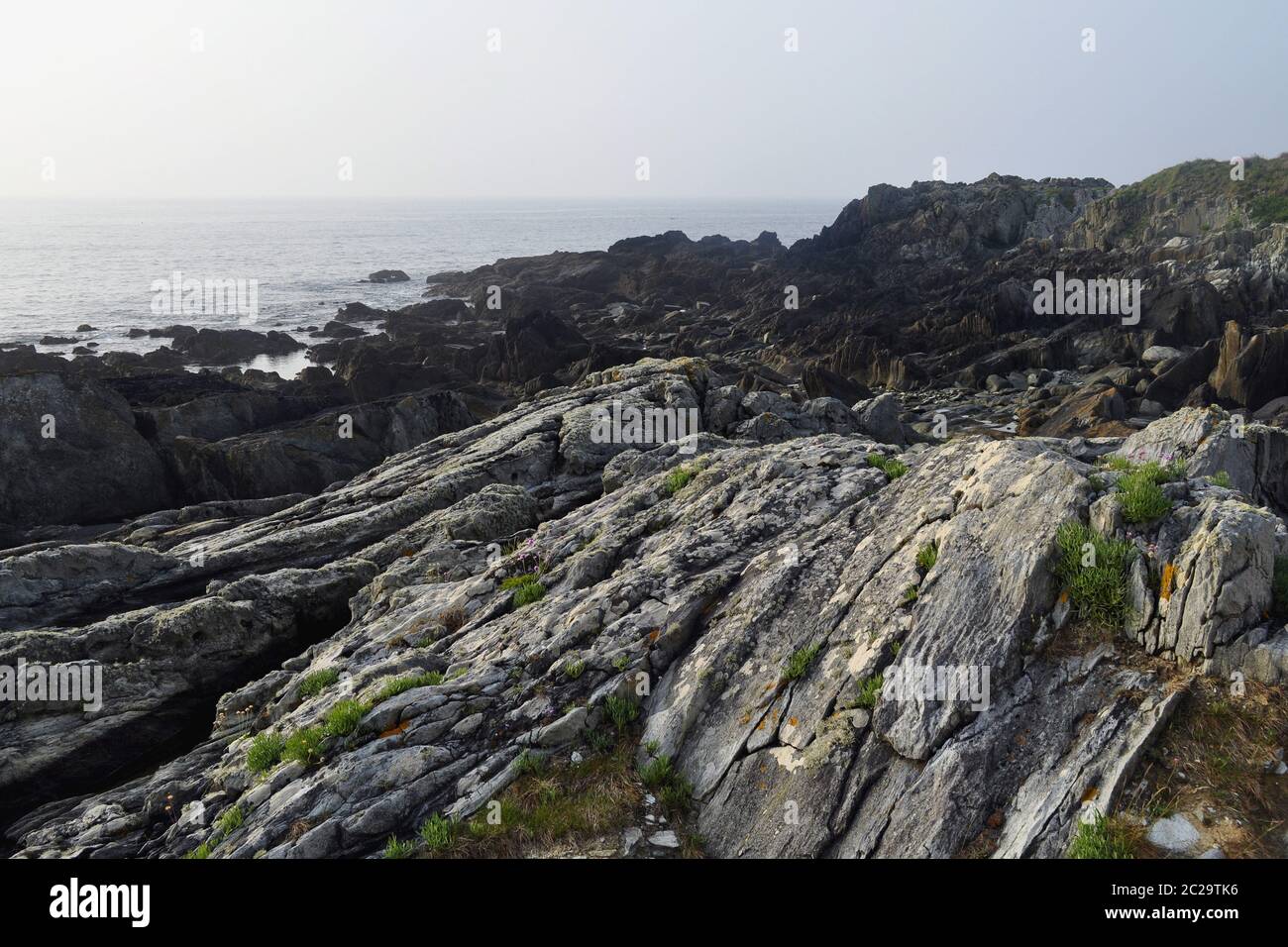 Clam bench on the Atlantic coast Stock Photo