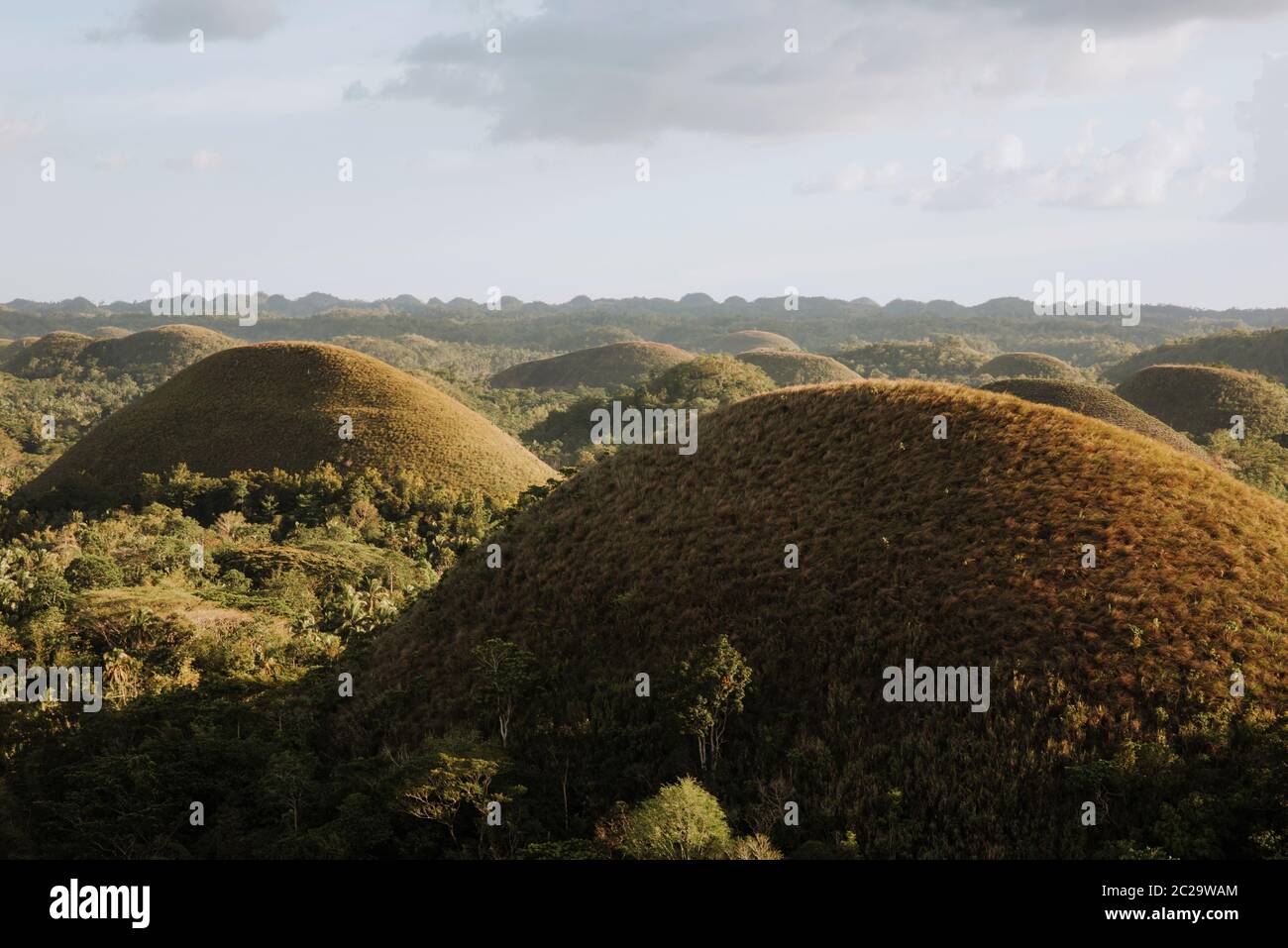 view from the viewpoint of the chocolate hills on a sunny afternoon
