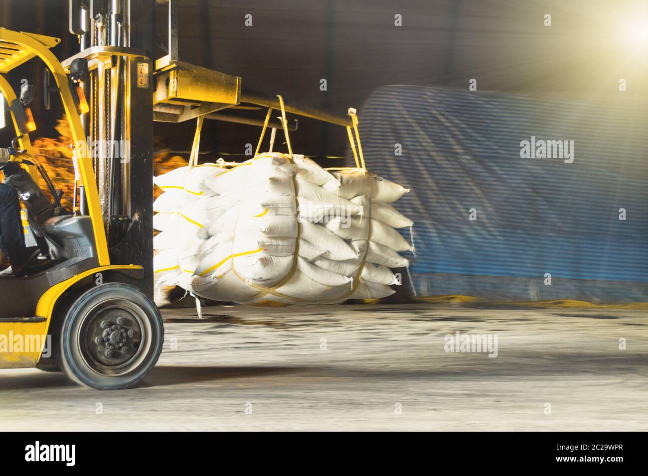 Sugar warehouse activities, forklift carries sugar bags to container stuffing area for export. Industrial logistics concept. Stock Photo