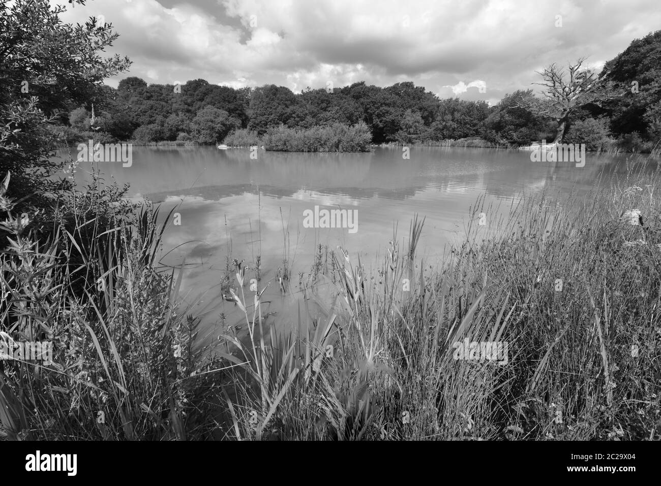 Holmwood surrey hi-res stock photography and images - Alamy