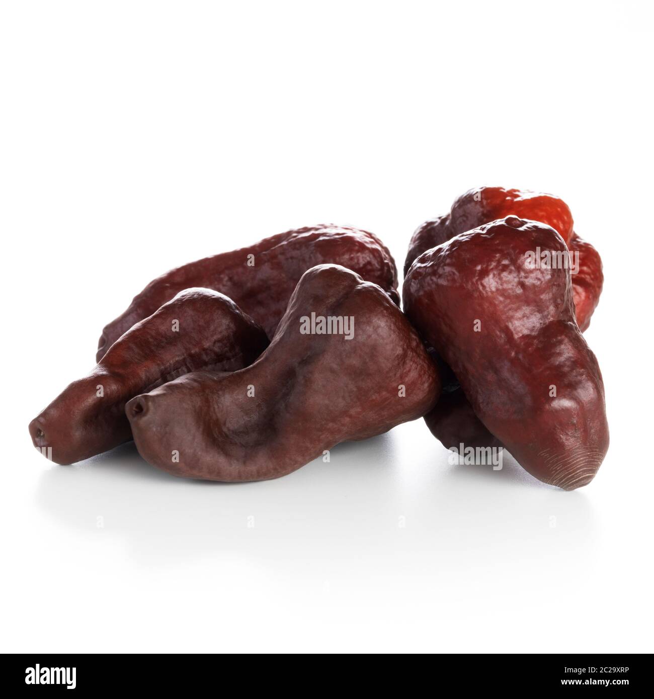 Chocolate Naga Viper pepper isolated on a white background Stock Photo