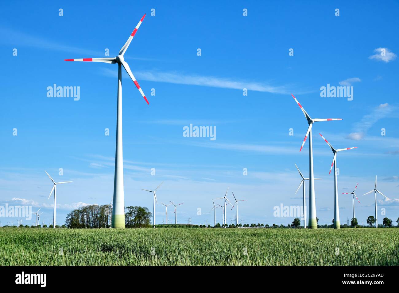 Modern wind energy generators in a cornfield seen in Germany Stock Photo