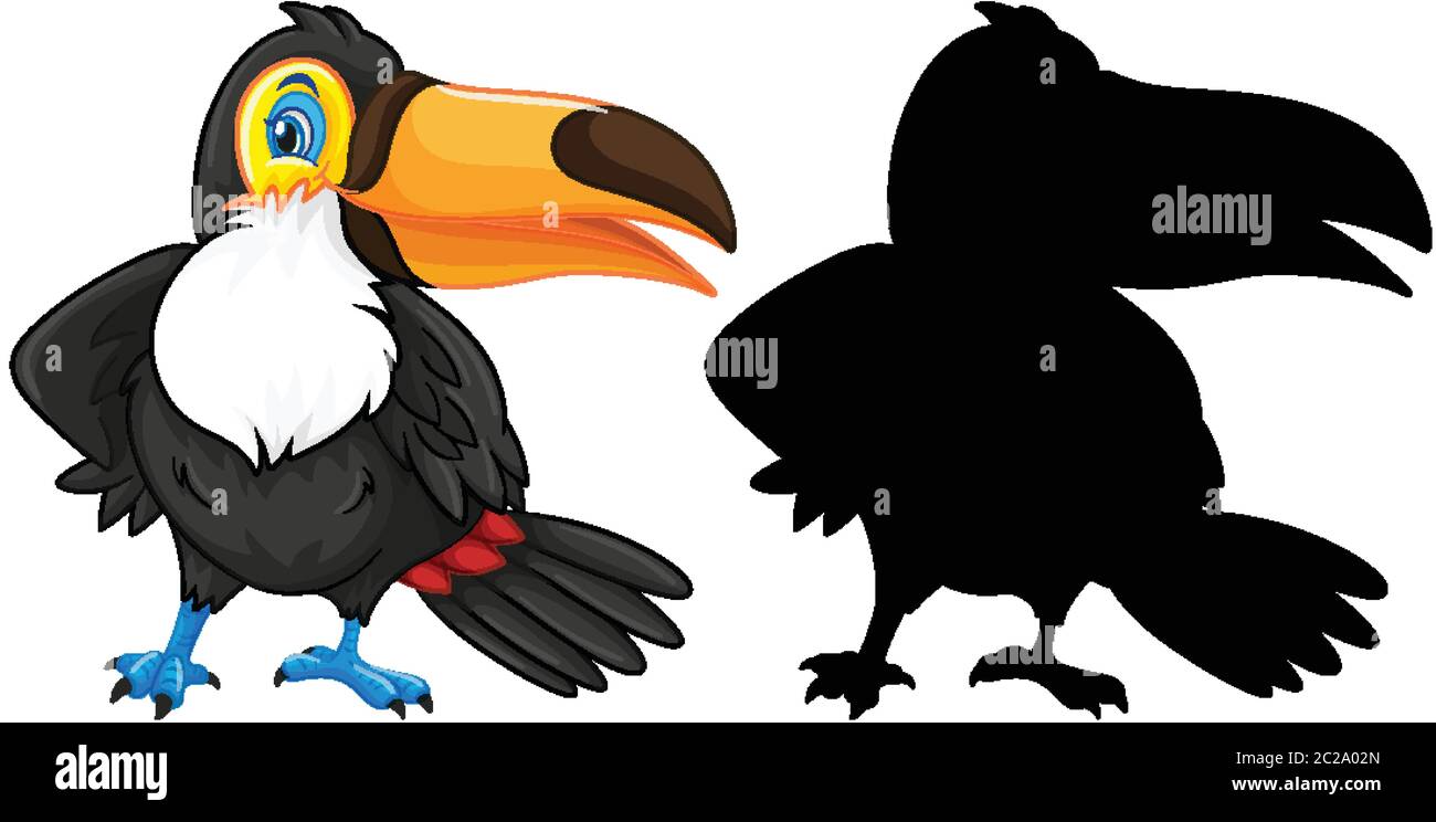Toucan Series High Resolution Stock Photography And Images Alamy