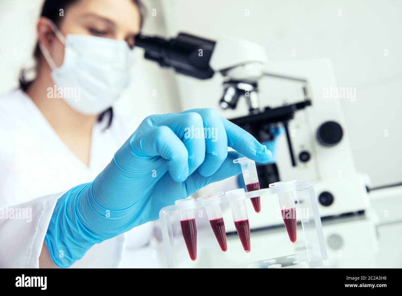 Hand in medical gloves takes eppendorf with blood. Female medician takes eppendorf test-tube with human blood to examine and microscope in the backgro Stock Photo