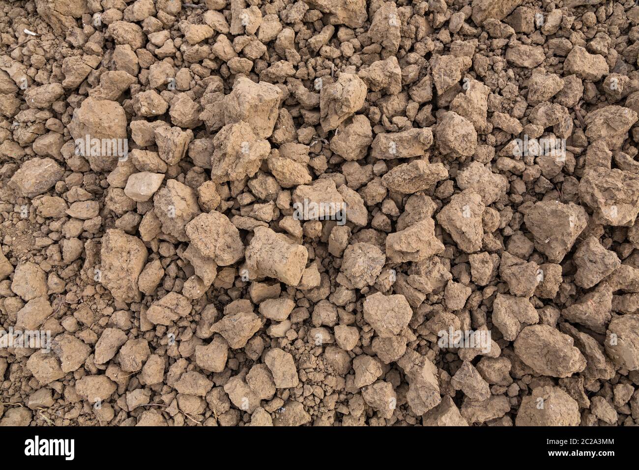 detail of a plowed field with brown pebble soil Stock Photo