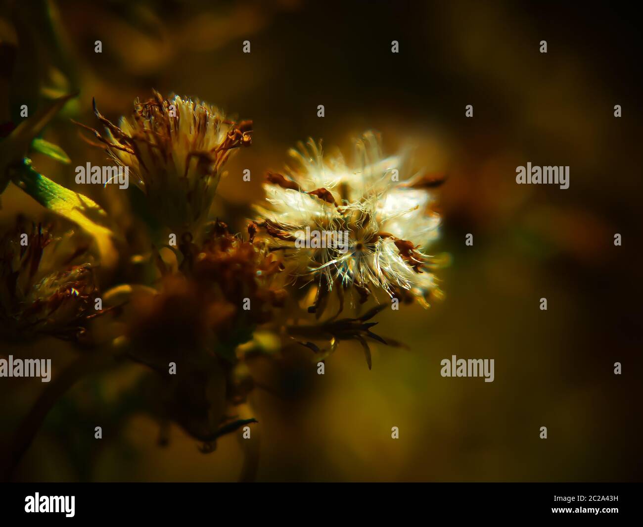 Colours of Nature Stock Photo - Alamy