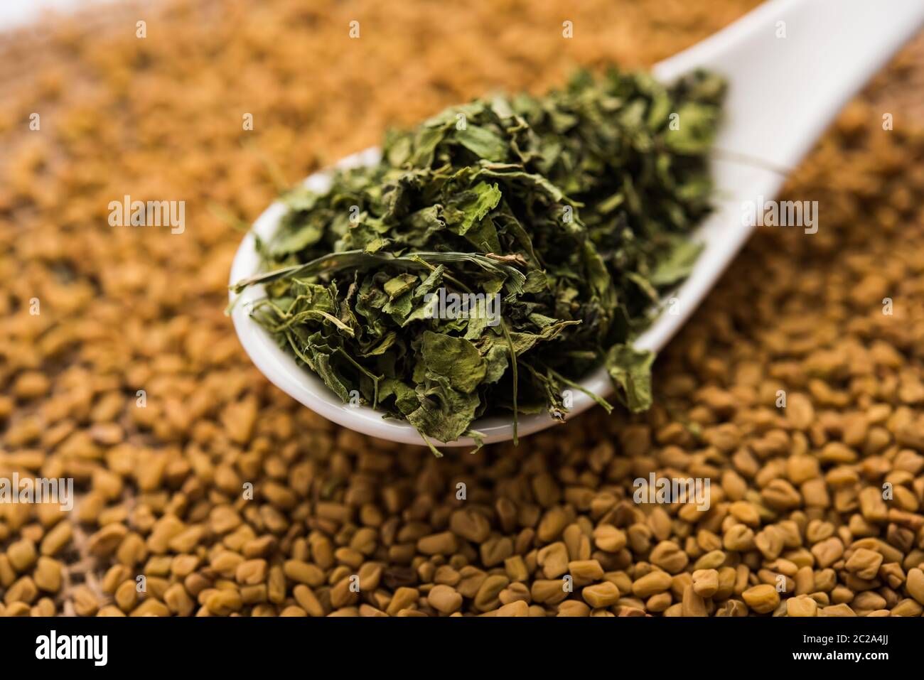 Kasuri Methi / Kasoori Methi or dried fenugreek leaves also known as Trigonella Foenum Graecum Stock Photo