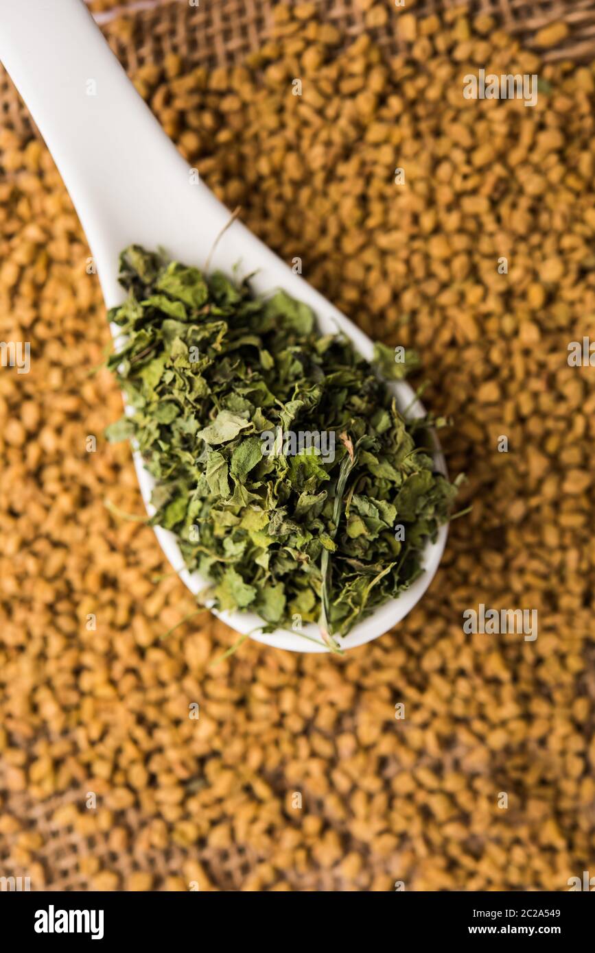 Kasuri Methi / Kasoori Methi or dried fenugreek leaves also known as