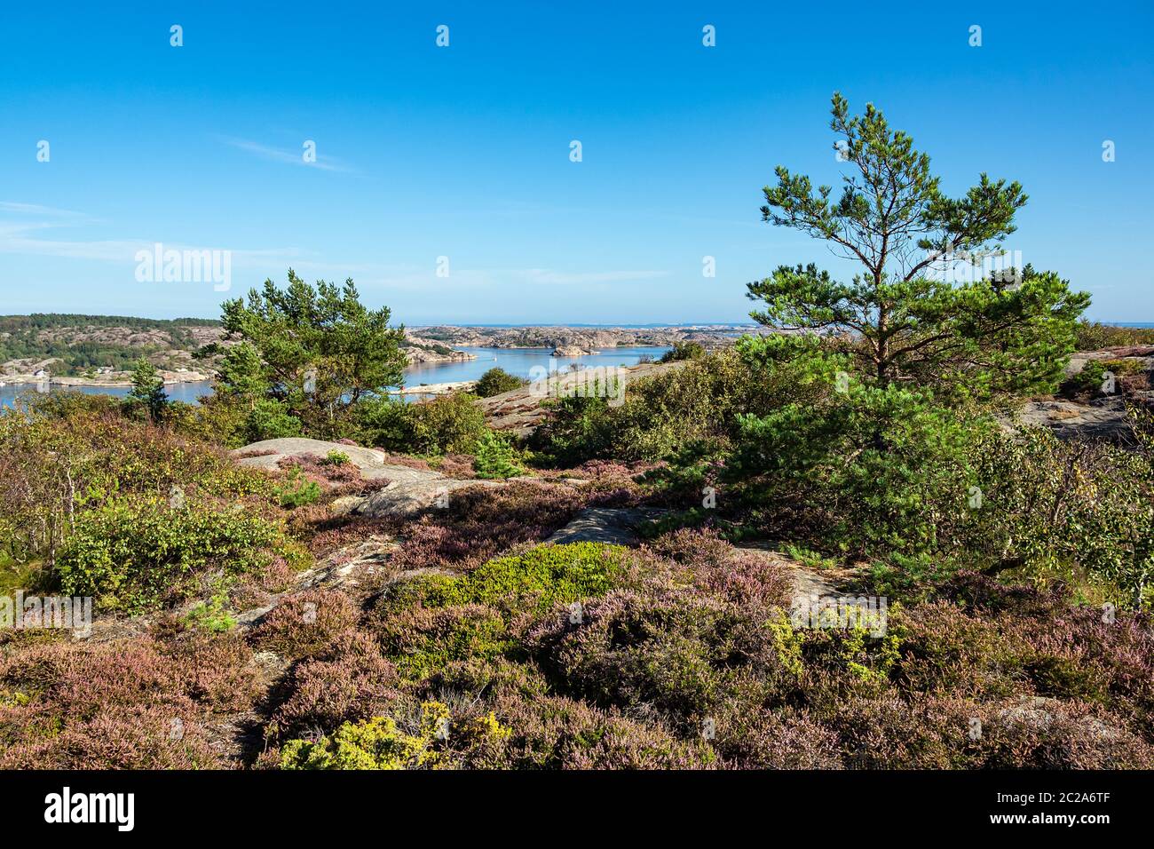 Landscape with trees near Fjaellbacka in Sweden. Stock Photo