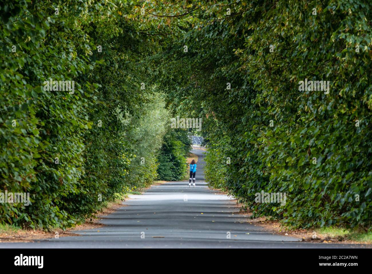 An Alley like a Tunnel Stock Photo