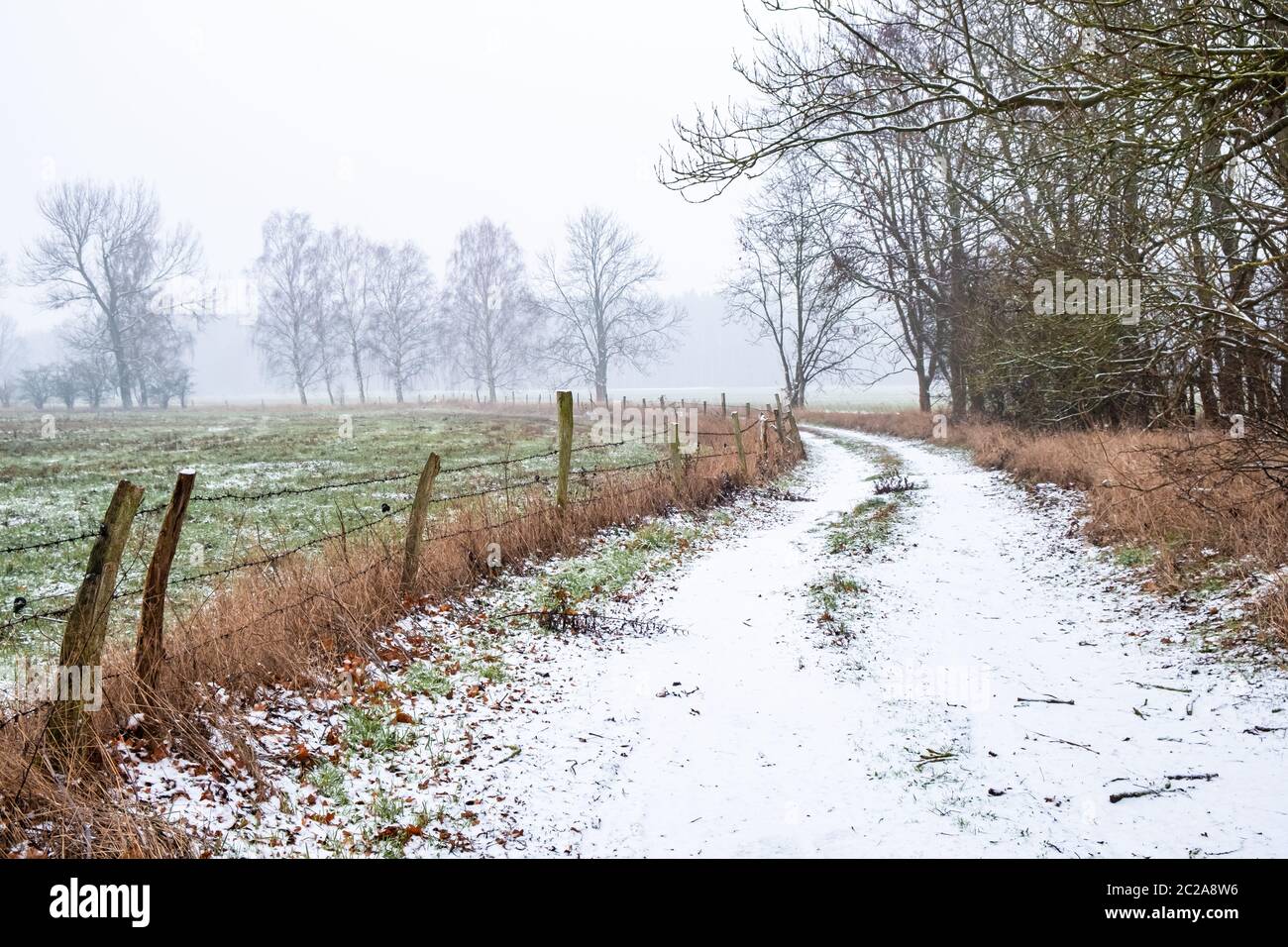 Paddock fence hi-res stock photography and images - Alamy
