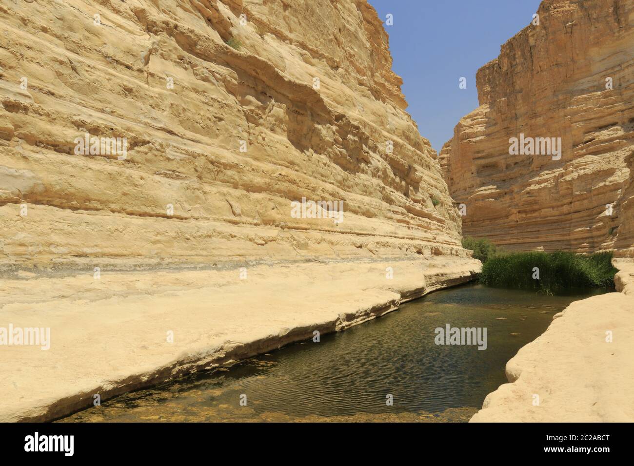 Ein avdat canyon in Israel Stock Photo