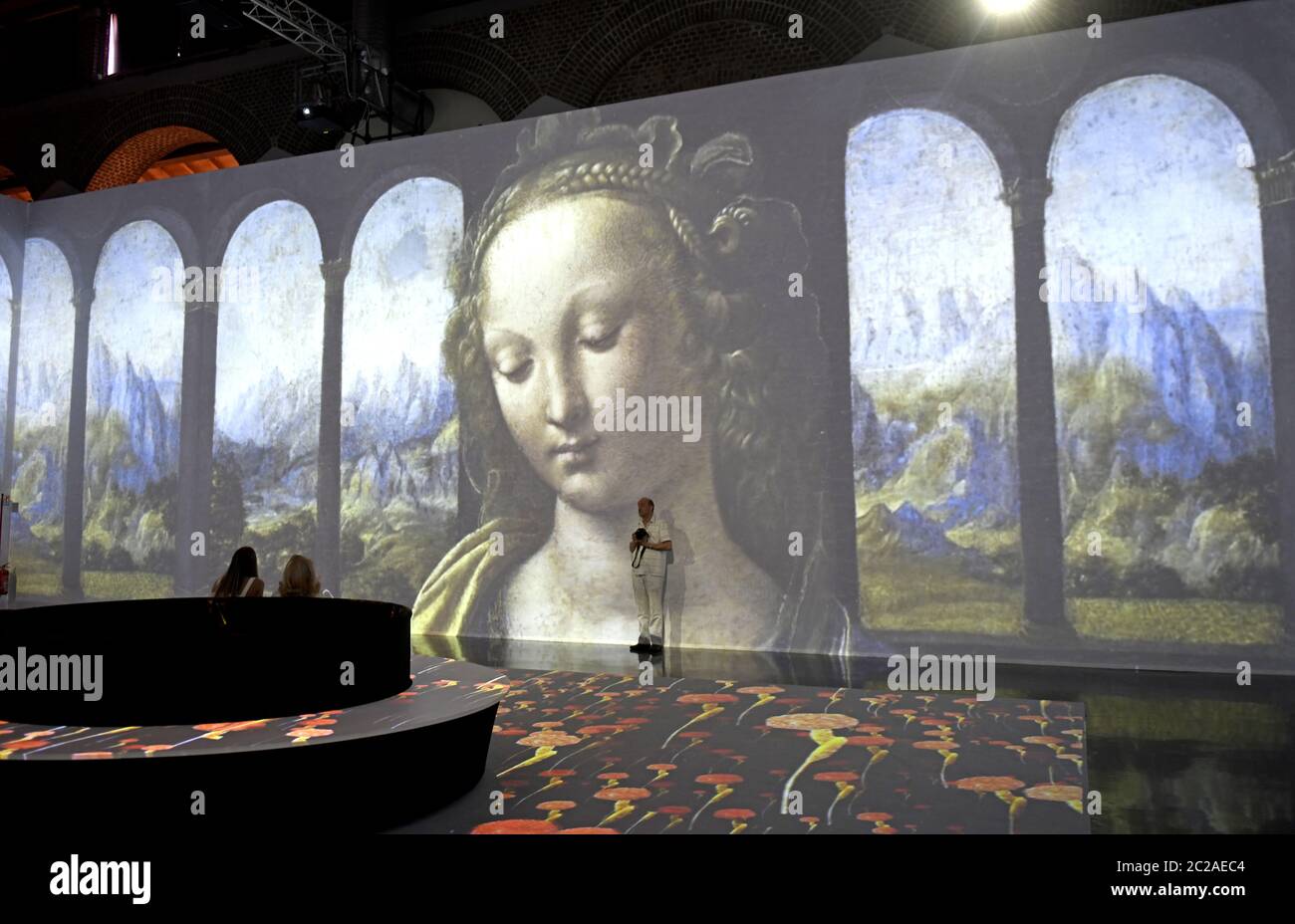 Leonardo 3D exhibition TO celebrate the 500th anniversary of the death of the hisrorical Italian