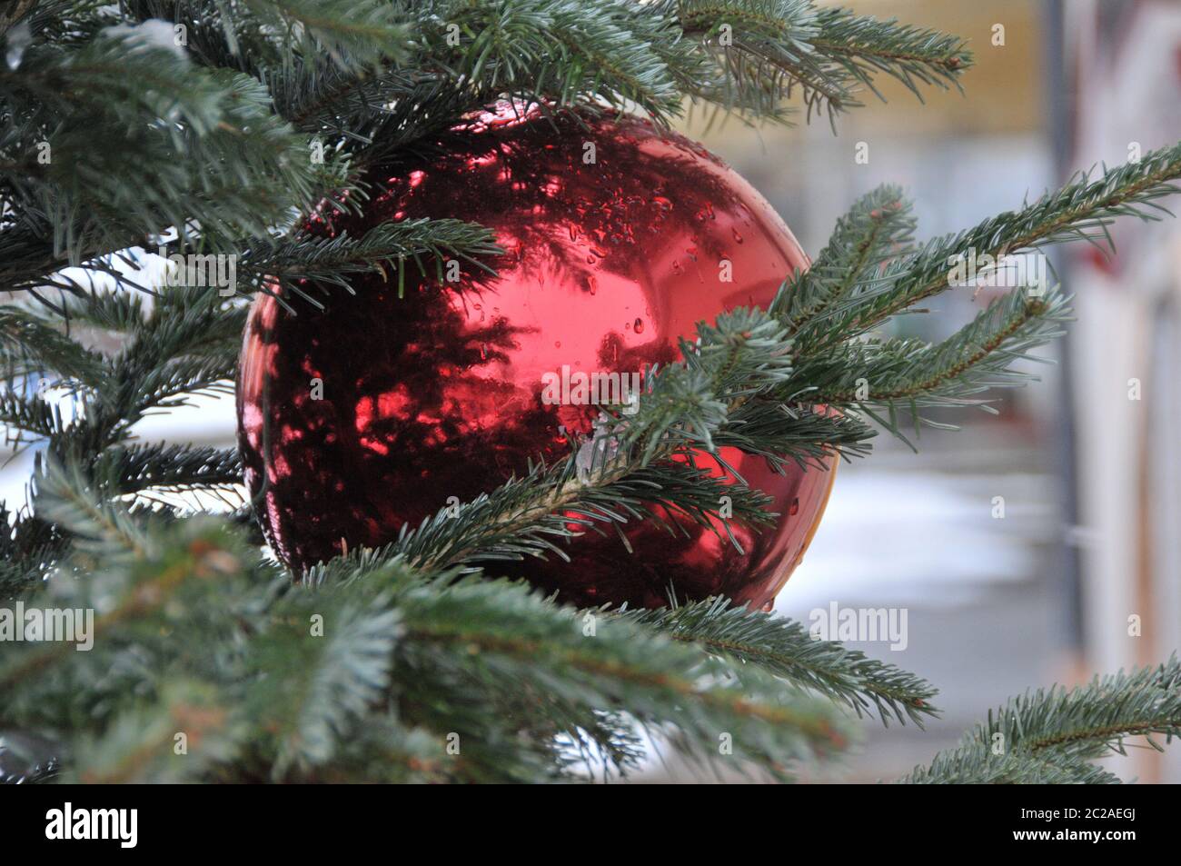 Christmas tree ball Stock Photo Alamy