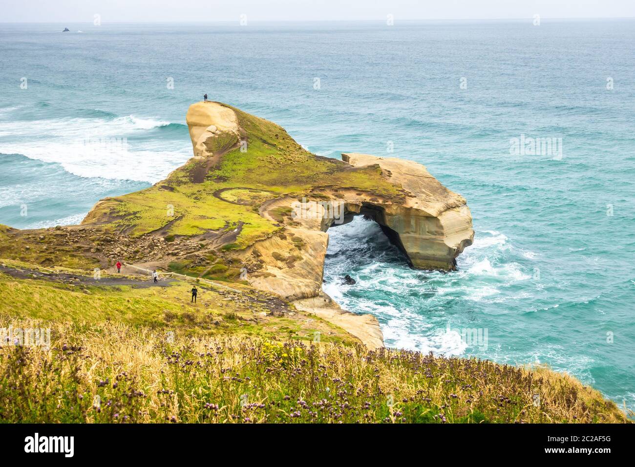 Tunnel Beach New Zealand Stock Photo Alamy