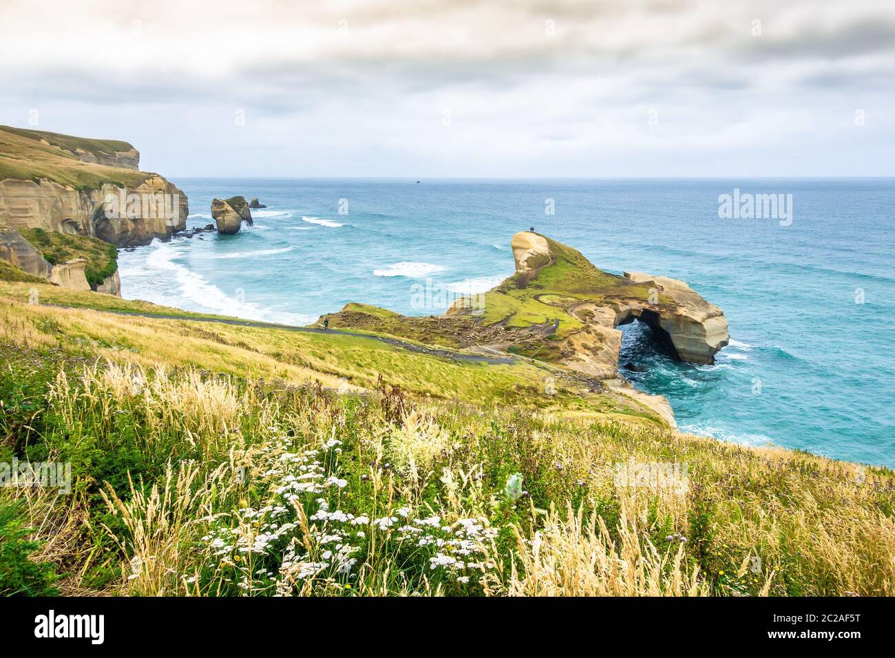 Tunnel Beach New Zealand Stock Photo Alamy