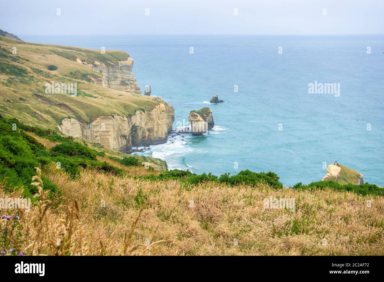 Tunnel Beach New Zealand Stock Photo Alamy