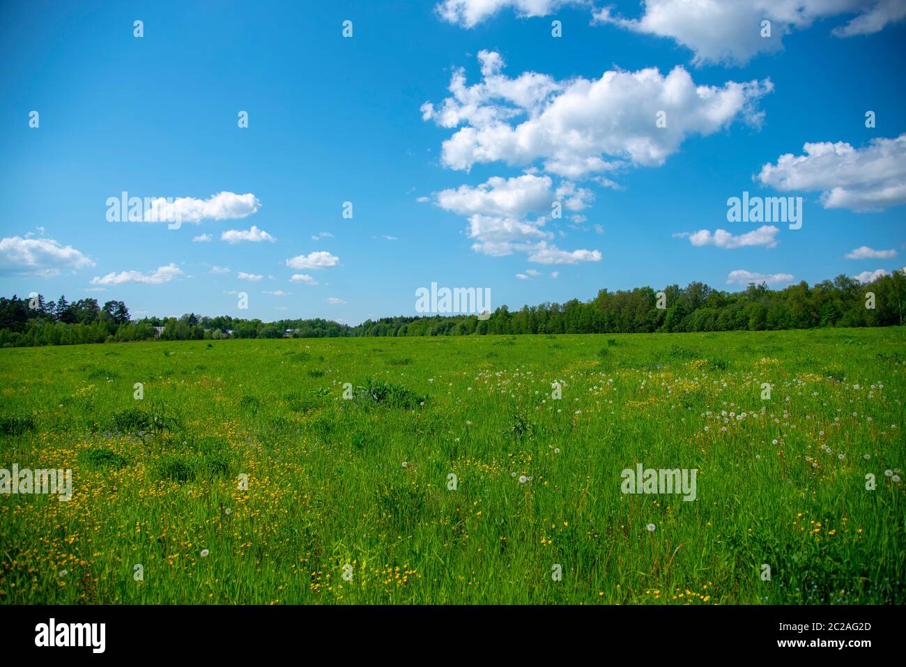 Lush green grass and blue sky with clouds Stock Photo - Alamy